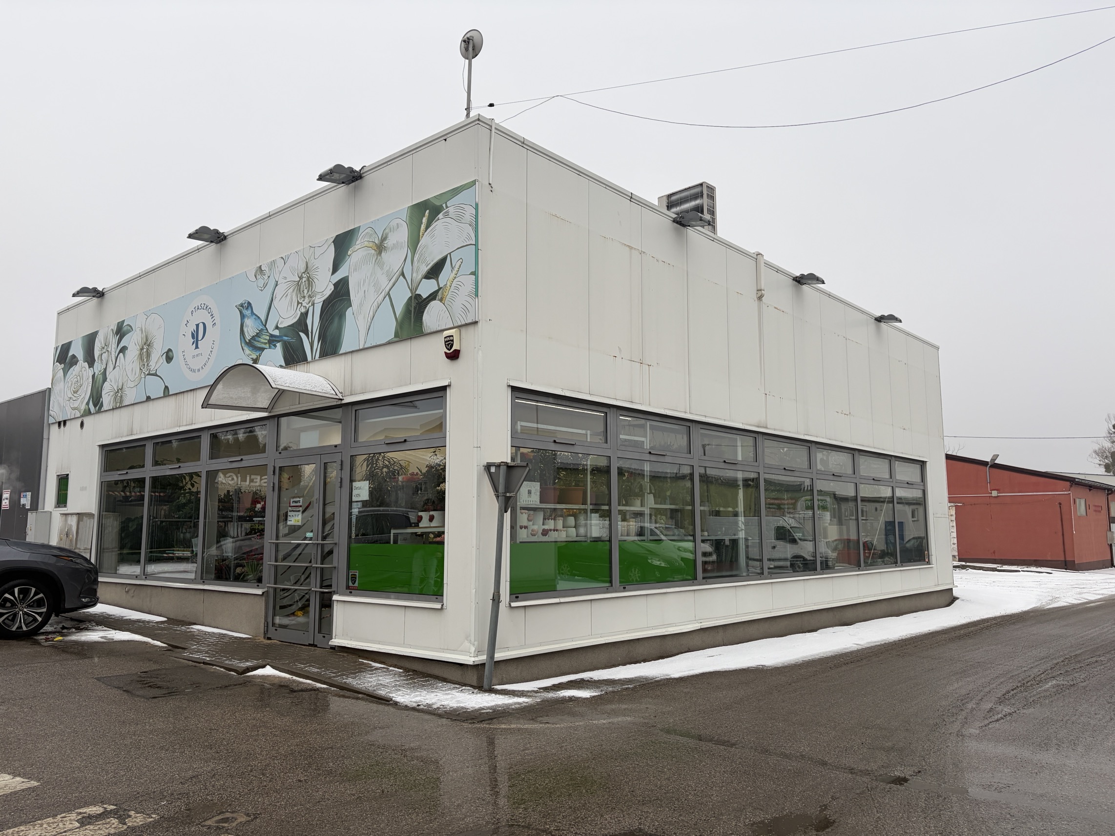 Hurtownia roślin doniczkowych Radom