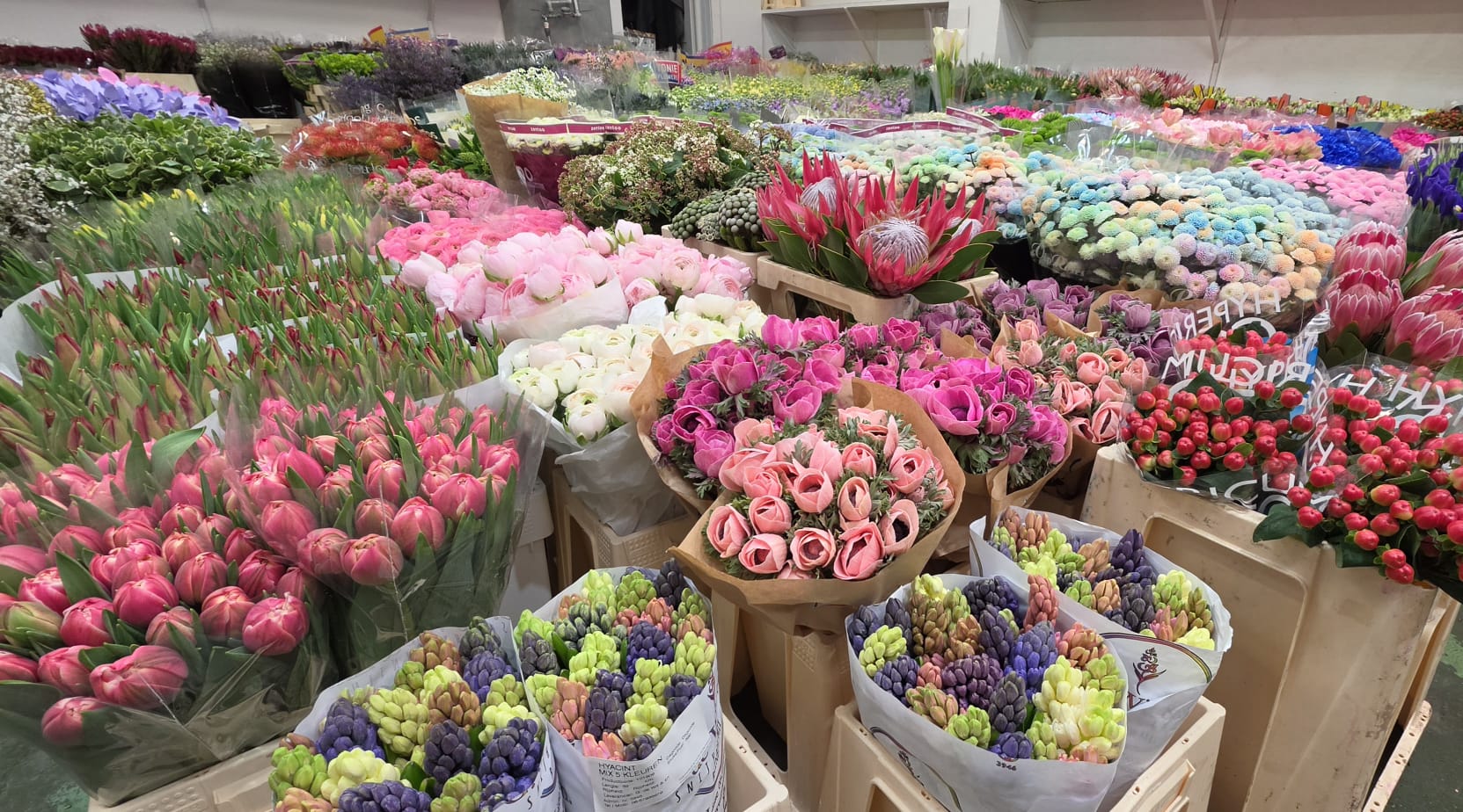 WhatsApp Image 2026 03 29 at 07.47.52 (3)